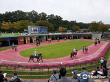 LetsRun Park Seoul(Seoul Racecourse Park)