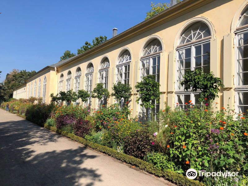 Orangerie Neuer Garten旅游景点图片