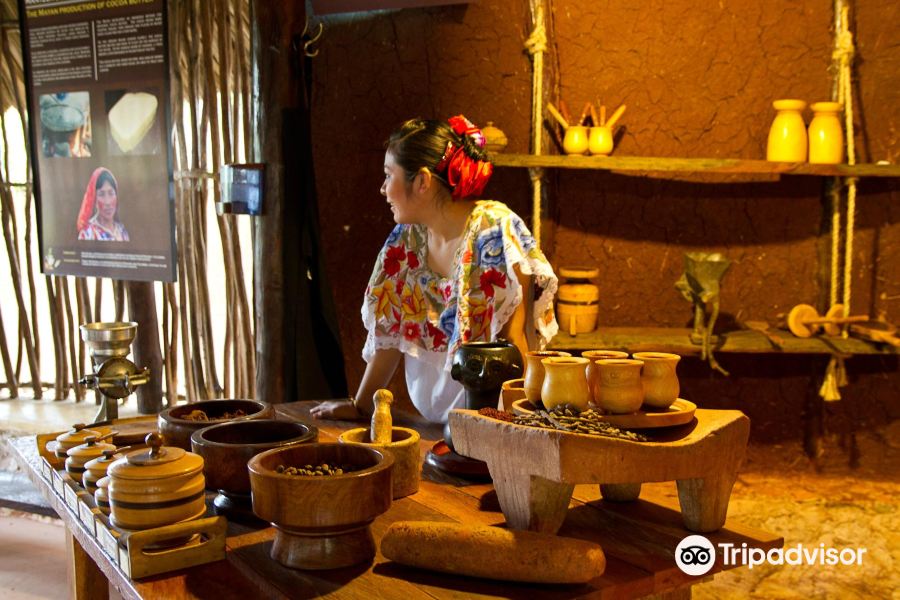 EcoMuseo del Cacao旅游景点图片