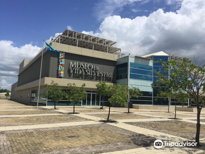 Museo de Vida Silvestre旅游景点图片