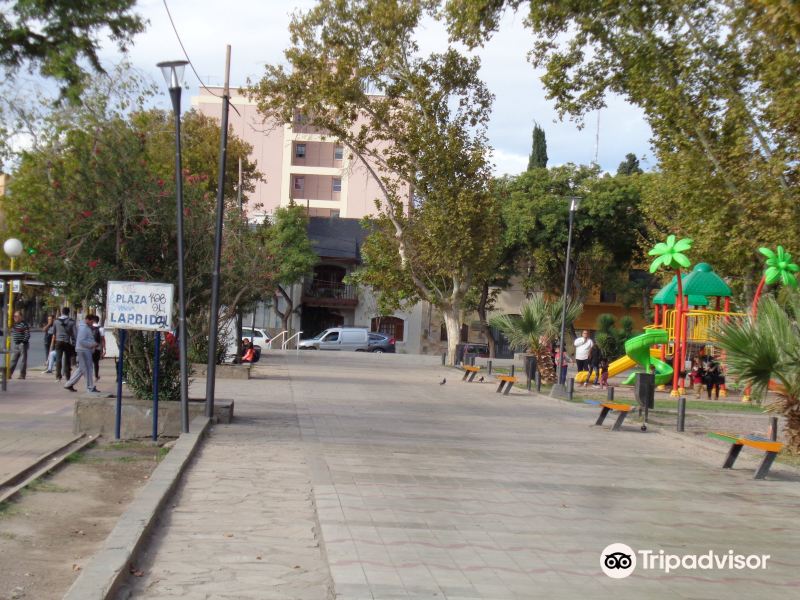 Plaza Laprida旅游景点图片