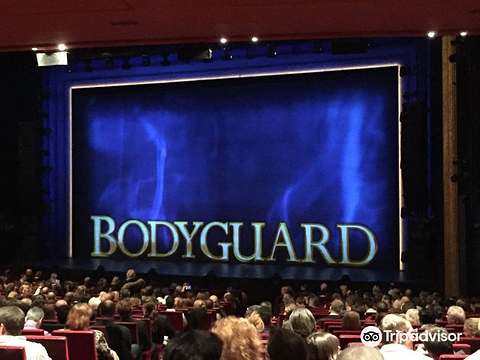 Musical Bodyguard的图片