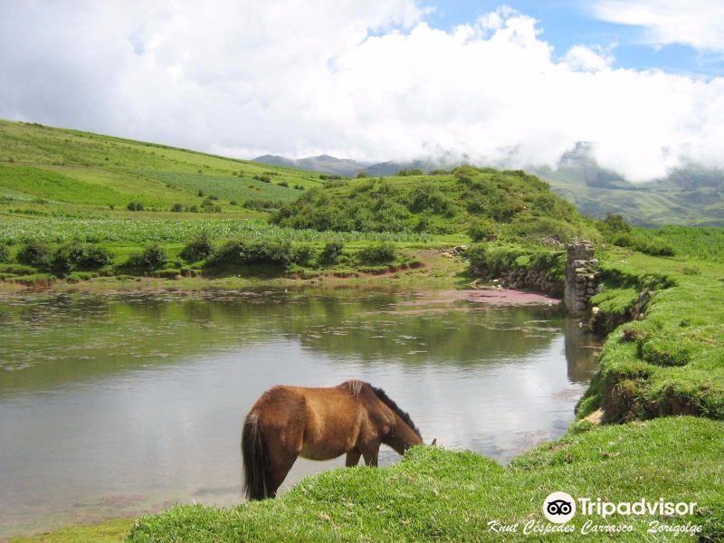 Sitio Arqueológico Qocha qasa旅游景点图片