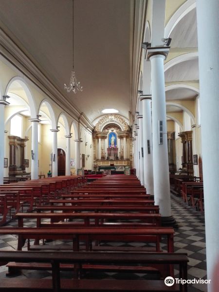 Catedral de Copiapo旅游景点图片
