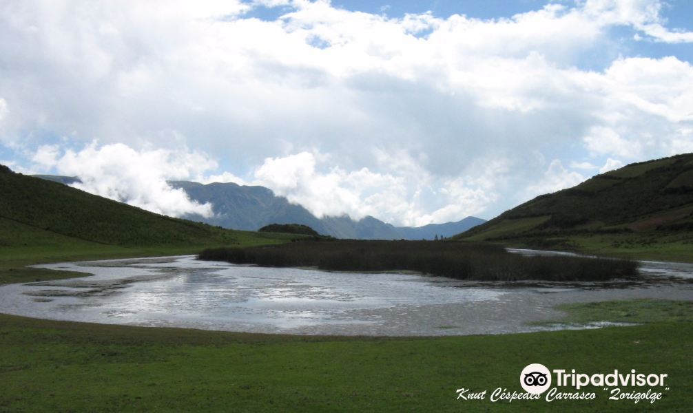 Sitio Arqueológico Qocha qasa旅游景点图片