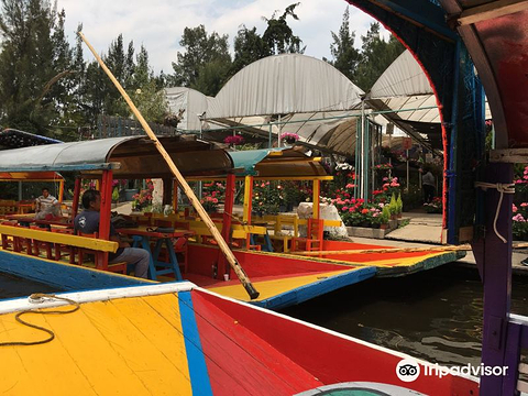 Mercado de las Flores de Nativitas的图片