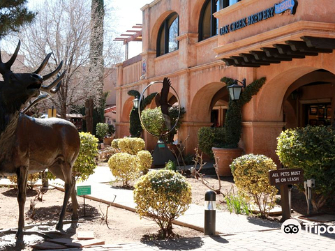 Navarro Gallery & Sculpture Garden的图片