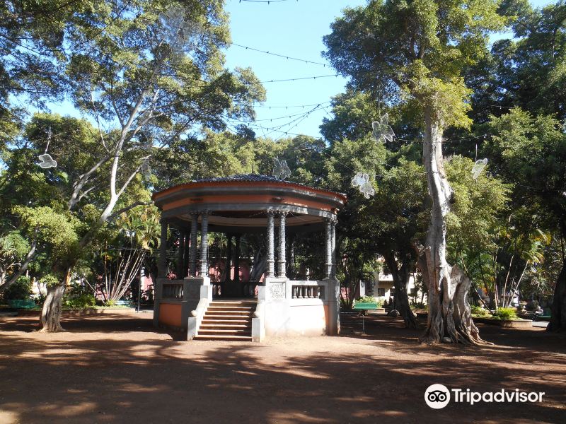 Plaza Del Principe旅游景点图片