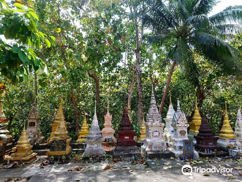 Wat Phu Khao Thong旅游景点图片