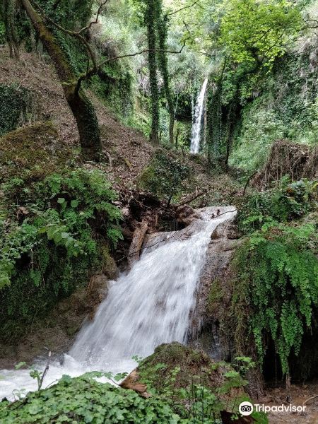 Nemouta Waterfalls旅游景点图片