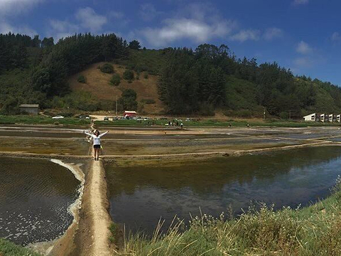 鲁滨逊克鲁索岛