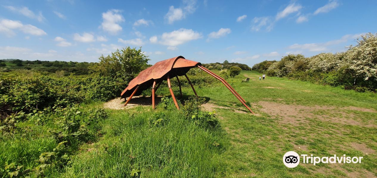 wat tyler country park旅游景点图片