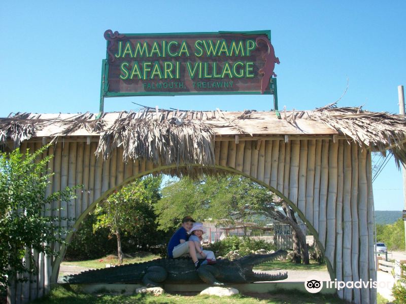 Jamaica Swamp Safari Village旅游景点图片