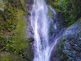 Todoro Fall