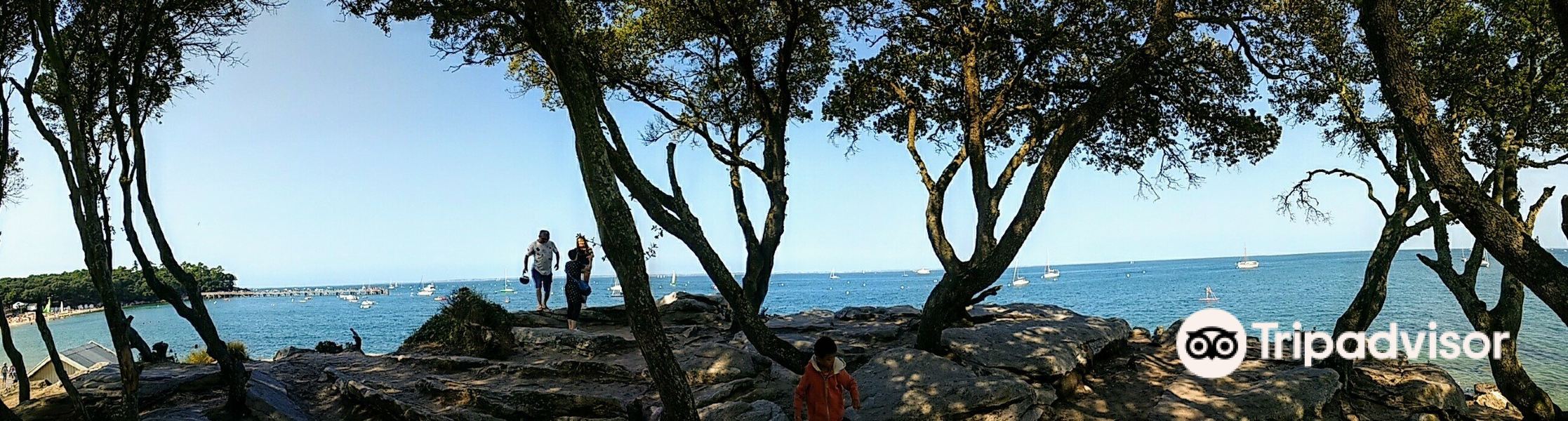 Plage des Sableaux旅游景点图片