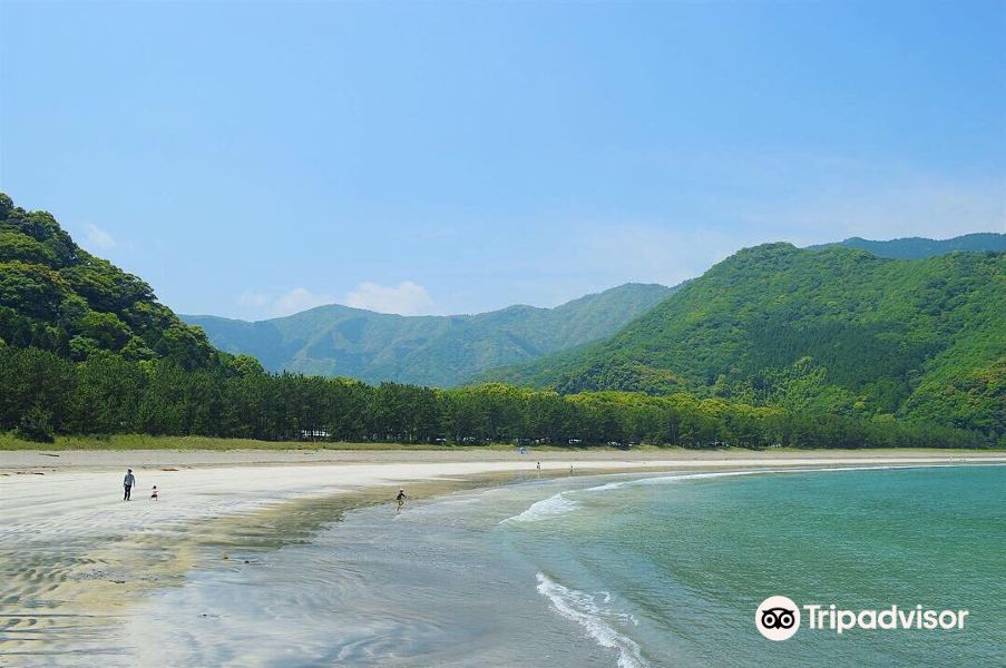 波当津海水浴場旅游景点图片