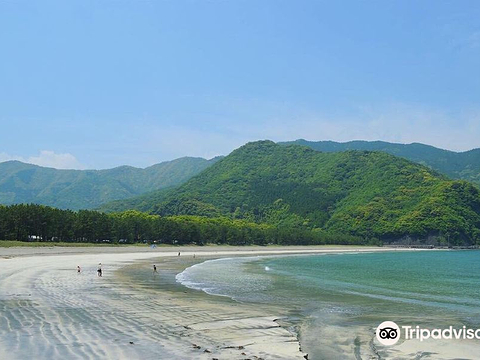 波当津海水浴場的图片