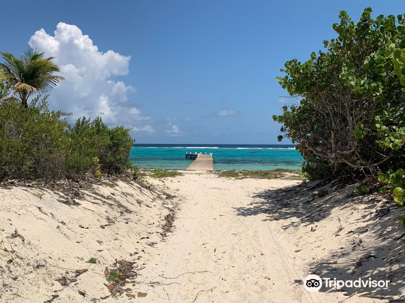 2023小开曼岛景点推荐/旅游景点排行榜,小开曼岛景点大全/有什么好玩