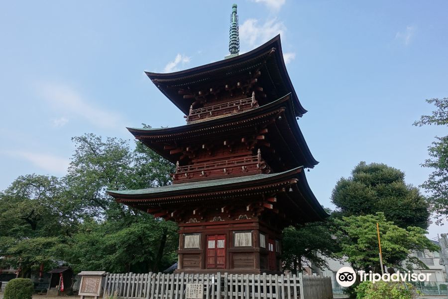 2021saifukuji temple-旅游攻略-门票-地址-问答-游记点评,川口市旅游