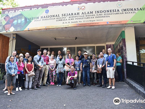 Indonesia National Museum of Natural History的图片