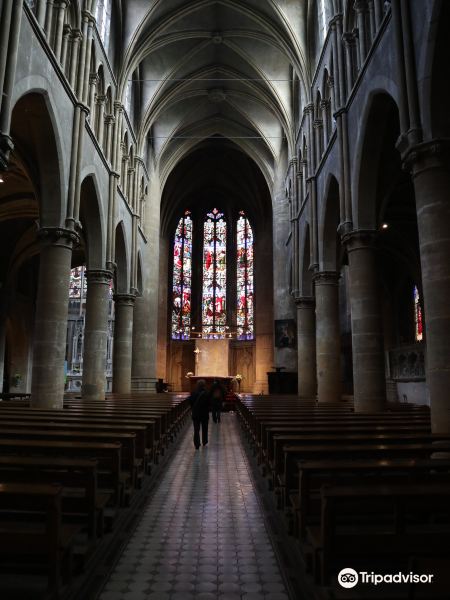 Eglise Saint Martin旅游景点图片