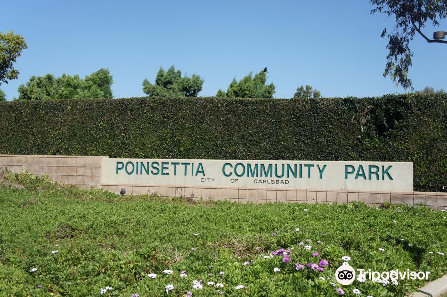 Poinsettia Park旅游景点图片