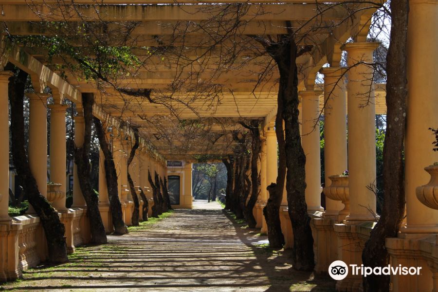 2024Parque Infante D. Pedro旅游攻略门票地址问答游记点评，阿威罗旅游旅游景点推荐去哪儿攻略