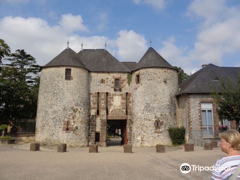 Castle of Fresnay Sur Sarthe旅游景点图片