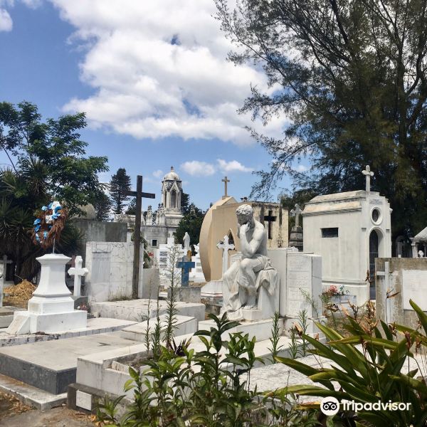 Cementerio de Los Ilustres