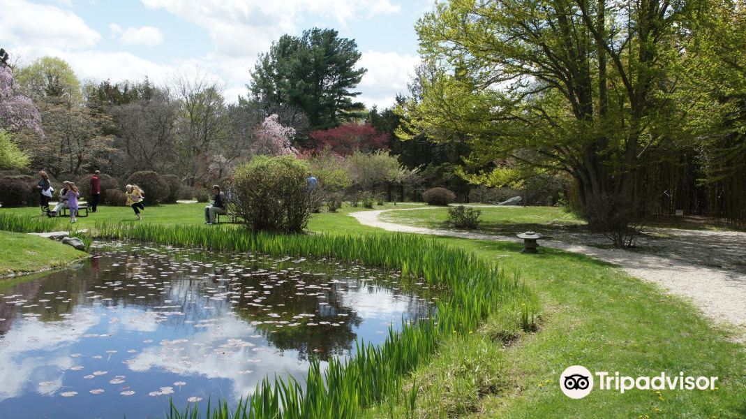 Hammond Museum and Japanese Stroll Garden旅游景点图片