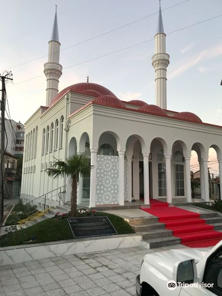 Mosque Pasha旅游景点图片