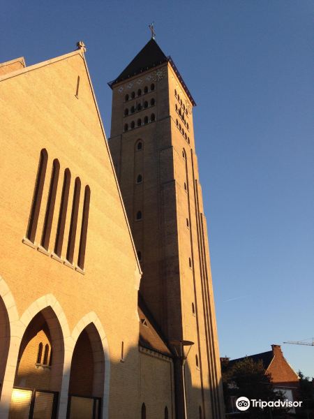 kerk Sint-Martinus旅游景点图片