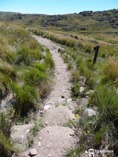 小秃鹰峡谷国家公园旅游景点图片