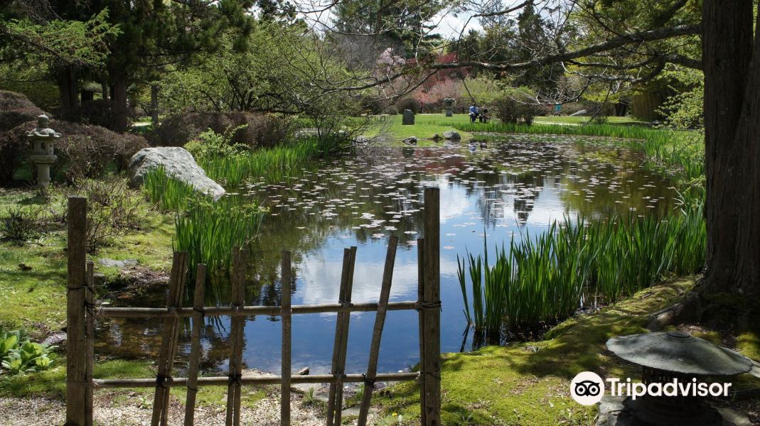 Hammond Museum and Japanese Stroll Garden旅游景点图片