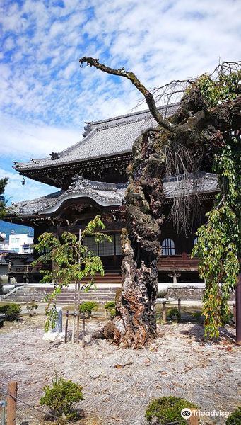 正永寺旅游景点图片