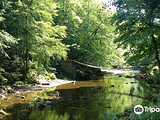 Allen Banks and Staward Gorge