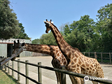 Zoo des Sables d'Olonne