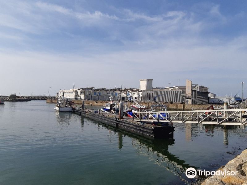 Port de la Turballe旅游景点图片