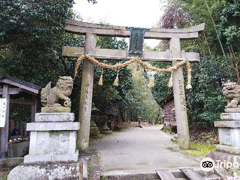 走田神社的图片