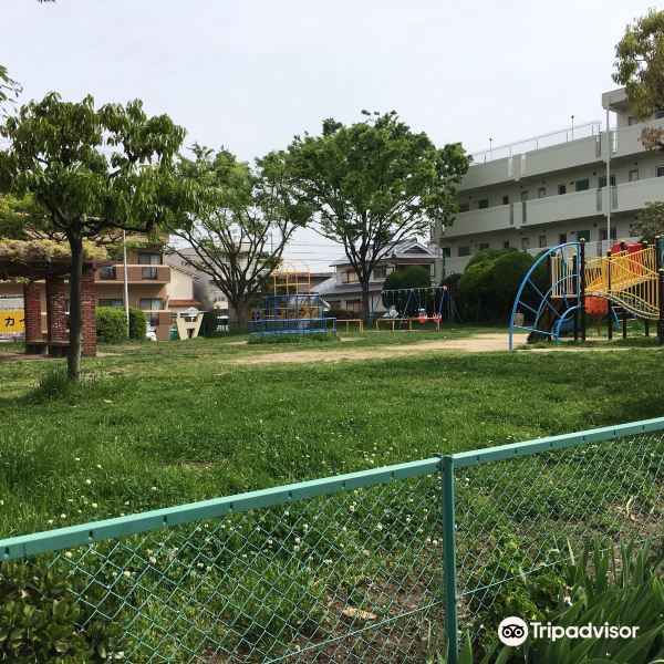 Hamadera Minamimachi Daiichi Park旅游景点图片