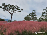 Seoil Nongwon