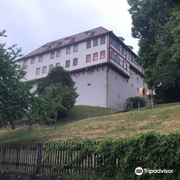Schloss Gomaringen旅游景点图片