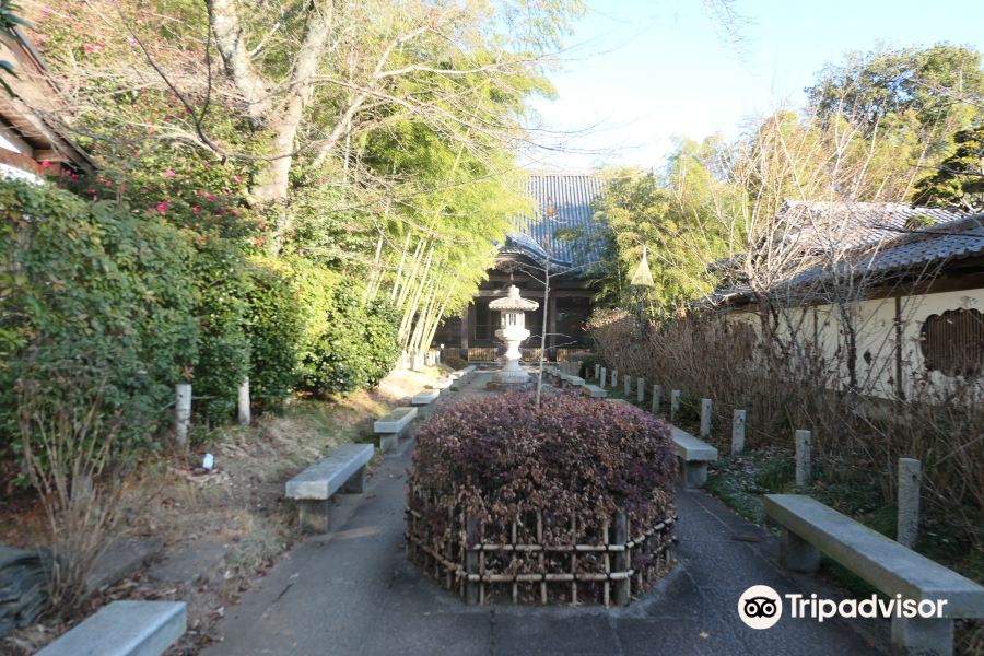 22资福寺 旅游攻略 门票 地址 问答 游记点评 仙台旅游旅游景点推荐 去哪儿攻略 22资福寺 旅游攻略 门票 地址 问答 游记点评 仙台旅游旅游景点推荐 去哪儿攻略