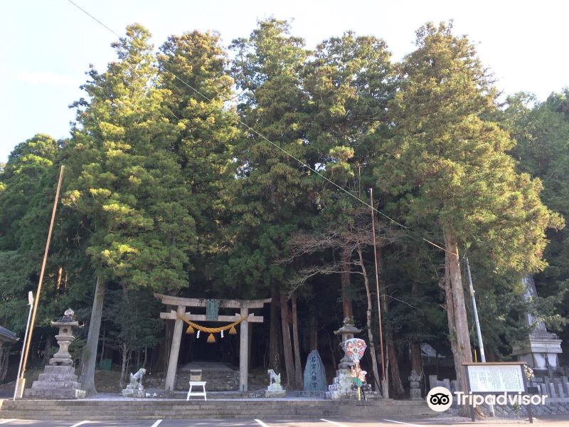 若宫八幡社旅游景点图片