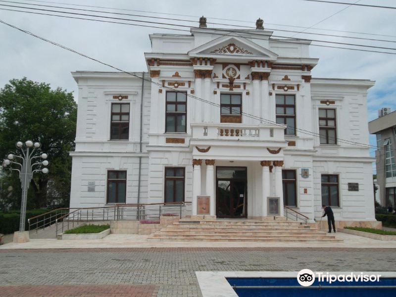 Municipal Museum Calarasi旅游景点图片