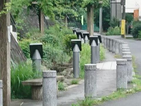Nakayoshi Promenade的图片