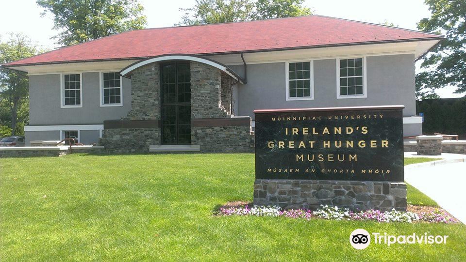 Ireland's Great Hunger Museum旅游景点图片