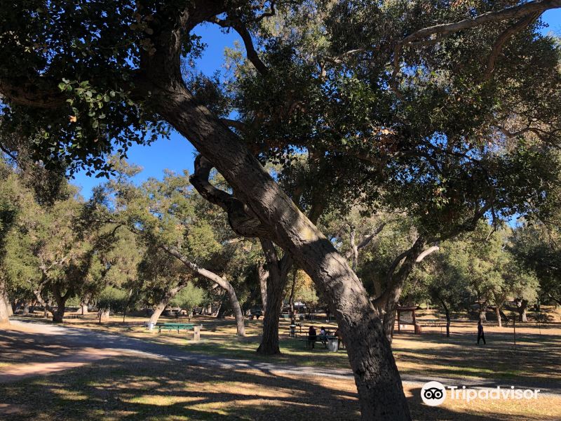 Live Oak County Park旅游景点图片