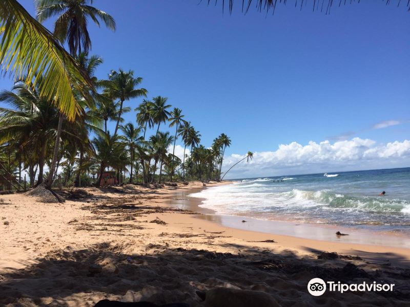 Bombaca Beach旅游景点图片