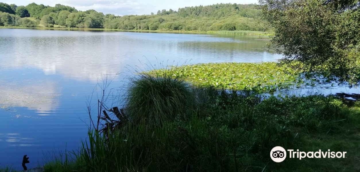 Lagoa de Sobrado旅游景点图片